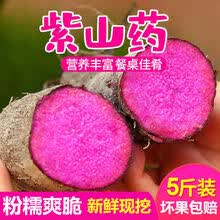 21年新果赣南紫山药新鲜蔬菜现挖农家脚板薯紫玉淮山紫色毛薯 3斤装(实惠)
