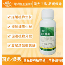 芭瑟曼薇 国光矮秀 30%多效唑甲哌鎓植物矮化剂矮壮素抑制顶端生长减少修剪 200ml