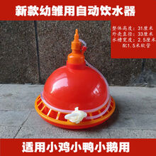 鸡用自动饮水器 喂鸡水壶水槽鸭鹅喂水器养鸡用品养殖厂设备 幼雏用新款 自动饮水器