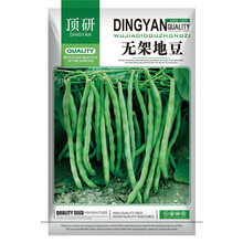 顶研 蔬菜种子 菜籽 盆栽种菜 庭院种植 无架地豆种子10克