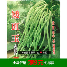 豆角种子长豇豆籽有架无架无鼠尾四季豆院阳台大田播种高产蔬菜孑 无架矮豇豆原装30克