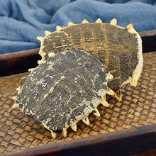 静萱筛选鳖甲250g克无硫中药材别甲生鳘甲鱼壳上甲上壳鳖壳团鱼壳可磨鳖甲粉