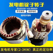 汽油发电机配件2KW2.5KW2.8kw3千瓦电机定子线圈168F170F转子锭子 2.5kw电机总成