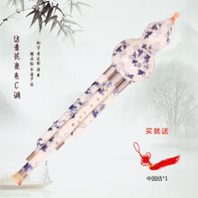 胶木葫芦丝c调降b调初学乐器葫芦丝巴乌实用乐器竹笛 仿青花C调套餐一