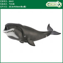 英国CollectA我你他仿真海洋动物模型玩具鲨鱼鲸鱼南北极认知合集 88652弓头鲸