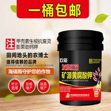 生根膨果桶装冲施肥矿源黄腐酸钾氨基酸水溶肥高钾蔬菜水果肥料 发根壮苗型（发物流到县城自取）
