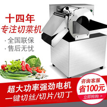 钦樽 切菜机商用切菜机数控双头切菜机双调频切菜机食堂切菜机学校用酒店厨房不锈钢蔬菜刨片机 60型不锈钢切菜机