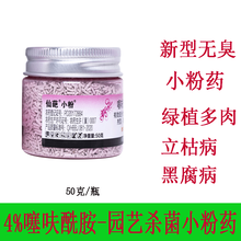 仙葩 4%噻呋酰胺 小粉药 无臭型 立枯病黒腐烟煤病黑斑病园艺绿植多肉花卉药剂防烂根防黑腐土壤杀菌剂 50克/瓶*2瓶