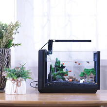 百因美鱼缸水族箱懒人免换水生态水草小鱼缸办公室造景玻璃客厅家用小型桌面迷你金鱼缸 生态小鱼缸（黑色）带灯+加热棒50w