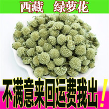 西藏绿萝花茶西藏野生特级500g结香花雪里花绿箩花茶绿罗花