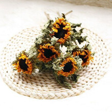 向日葵干花花束北欧风真花装饰云南天然干花家居装饰办公客厅摆设 向日葵5支