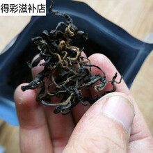 康中尊 张家界野生青钱柳茶嫩芽金钱柳茶500g 可配绞股蓝茶青钱柳