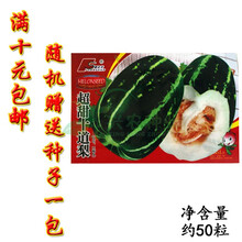菜友各种甜瓜种子  大田菜园高产易种甜脆肉厚甜瓜菜瓜香瓜瓜果籽 豫达丰超甜十道梨50粒/袋