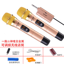 先科（SAST） 无线话筒主播会议话筒电脑K歌金属U段麦克风户外一拖二话筒有线话筒桌面会议鹅颈麦 OK-39B无线话筒双咪