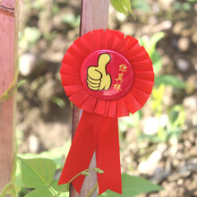 10个小红花胸花别针小学生幼儿园圣诞礼物大花朵学校教师奖励勋章礼品 10朵你真棒拇指胸花