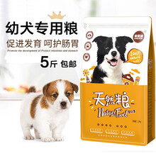 满月小奶狗狗粮1一6个月离乳期比熊泰迪田园犬幼犬幼崽专用通用型 5斤装（10个月以下犬龄）