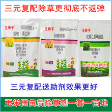 玉米田苗后专用除草剂烟嘧磺隆+秀去津+硝磺草酮防一年生杂草 200g