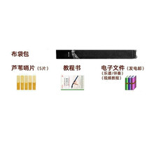 小萨 简易萨克斯风8孔11孔迷你单簧管中音笛头初学者高音便携式直管乐器 赠品-布袋包【无需单拍】