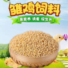 雏鸡饲料开口料肉小鸡饲料510鸟粮大鸡鸭鹅粮食颗粒钓鱼打窝饵料 雏鸡鸭鹅鸟饲料0-7周(1斤装) 1件