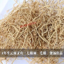 三七根云南文山三七根须根煲汤代打三七粉云南 特级三七根须500克