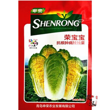 一播大地 大白菜种子 娃娃菜种子 快菜种子 申荣大白菜种子 易种 荣宝宝娃娃菜种子原装10g