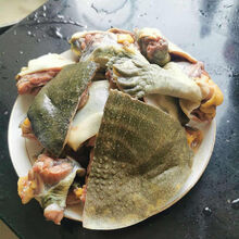 现杀甲鱼鲜活甲鱼甲鱼活体食用王八水鱼团鱼 宰杀组合净重：5斤