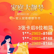 中国移动 家庭大靓号全网通电话卡顺子号 全国靓号个性定制号码不限速流量卡 手机靓号定制号码 靓号自选 家庭靓号-5组号码-选号联系客服
