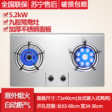 奥莱纳（Aolaina）家用燃气灶煤气灶双灶台式嵌入式两用天然气液化气可选 高配 | 5.2KW九头鸳鸯灶+不锈钢面板（天然气