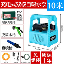小型充电式抽水泵浇水神器农用浇地抽水机灌溉浇菜家用田园浇水机可第 12AH锂电双核水泵_10米水管