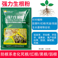 强力生根粉生根剂植物生根液大树移栽壮苗剂花卉苗木扦插育苗包邮 1000克强力生根粉(超值装)