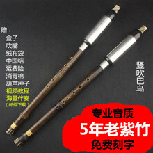 欧若拉巴乌乐器云南乐器专卖儿童成人初学紫竹演奏型C降BGF调 竖吹巴乌 A调+学习资料