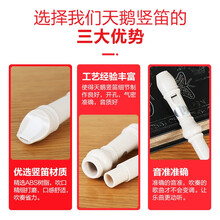 天鹅 竖笛 初学儿童学生竖笛 可拆卸德式八孔六孔高音6孔8孔可选竖笛 天鹅专业英式8孔+说明书+清洁棒+原装皮包+入门书