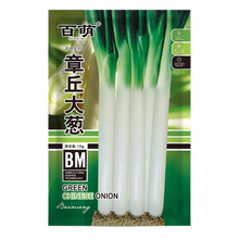 百萌（BAI MENG）大葱种子山东大葱 章丘大葱铁杆大葱大梧桐 菜园基地种植 易种蔬菜种籽 章丘大葱种子10克装 厂商封装