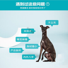 狗狗钙片恶霸卡斯罗灵缇格力细狗惠比特猎犬成犬幼犬专用健骨补钙粉立耳腿软爆头 关节舒化片一瓶