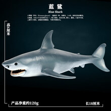 Oenux仿真大白鲨海洋动物模型玩具巨齿鲨虎鲨虎鲸鲨鱼塑胶儿童科教摆件 M-118中蓝鲨