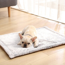 汤琪狗狗毛毯猫咪垫子睡垫宠物被子冬猫猫毯子秋冬款棉垫猫垫猫窝狗窝 新款咖啡色 L