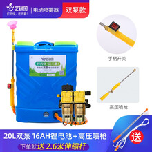 艺锦园电动喷雾器背负式智能双泵高压12v多功能锂电池农用果树打农药机家用喷雾器园林浇水 20L双泵16AH锂电手柄开关+高压喷枪