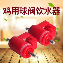 肉鸡蛋鸡专用饮水嘴 卡式饮水器乳头饮水器 钢球饮水器 360度出水 粗钉50个