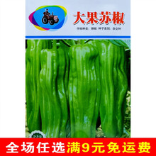 辣椒种子南方四季七彩线椒种籽大全薄皮超辣特大高产阳台盆栽 大果苏椒200粒