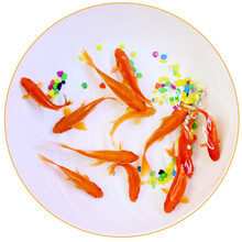 鱼多趣  锦鲫活体 草金鱼 观赏鱼淡水鱼冷水鱼  10条送2条备损（5-7cm）