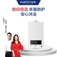浙派（ZHEPΛi）12A9T-Z 燃气热水器12升 家用恒温热水器 四季自动调温 液化气
