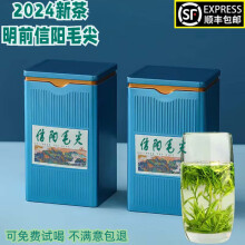 茗释春 信阳毛尖茶2024新茶明前高山云雾绿茶浓香型罐装茶叶  顺丰配送 信阳毛尖250g * 2罐