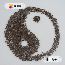 康益强 南五味子系列收敛固涩益气生津补肾道地药材中药饮片按方抓药中药  1g