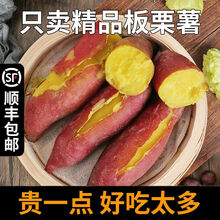 （顺丰新货）新鲜蜜薯农家板栗薯山东黄心地瓜糖心小番薯沙地红薯 3斤精品