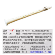 简易C调小萨克斯管乐器迷你便携式降B中音萨克斯风初学者 11孔小萨(白色)