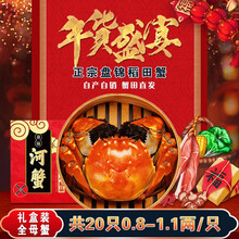 【盘锦馆】盘家人 中秋盘锦河蟹稻田蟹  鲜活海鲜水产 大闸蟹特大全母盘锦河蟹礼盒装顺丰空运直达冷链 0.8-1.1 全母蟹20只