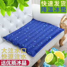 缘初 冰垫水垫夏季家居日用办公椅垫多功能汽车坐垫沙发垫防褥疮老年人冰晶水袋清凉垫 深蓝水滴45CM*45CM