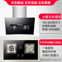 京浦莱斯 油烟机烟灶套装侧吸式抽油烟机灶具套装家用欧式吸油烟机脱排吸油烟机灶具套装全国联保 体感清洗款款烟机+5.2KW九腔猛火方架灶具 自行安装