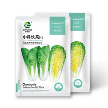中科茂华蔬菜种子中科快菜种子早熟20天上市大棵型黄芯小白菜家庭园艺阳台盆栽10克