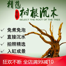 水草杜鹃根沉木莫斯树鱼缸草缸造景鱼缸装饰造景沉木鱼缸造景 21-25cm泡水随机2个